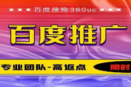 百度竞价推广案例：行业领军者成长故事